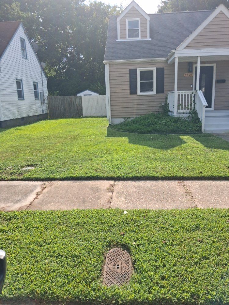 D (1)