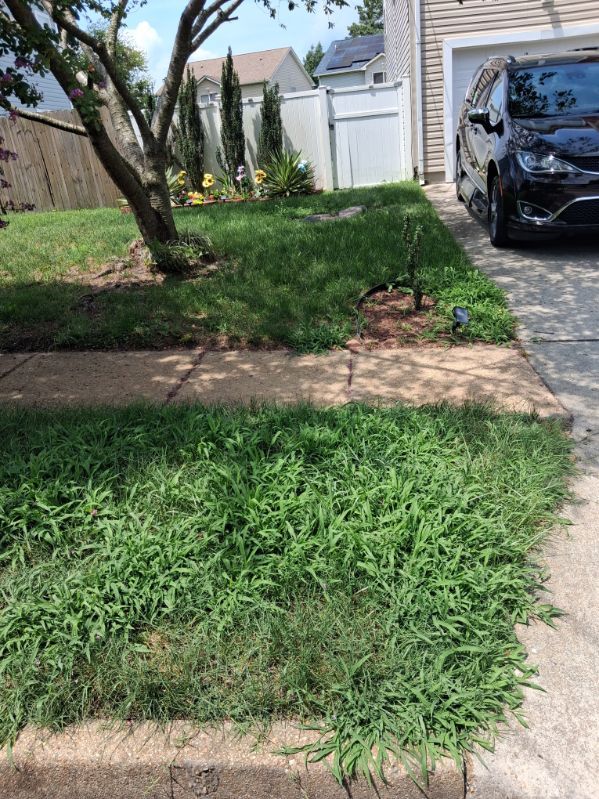 Before and after example - before
